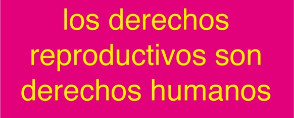 Caso Beatriz-Comunicado de la Corte Interamericana de Derechos Humanos
